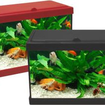 ΕΝΥΔΡΕΙΟ ΓΥΑΛΙΝΟ Κ/Τ ΝΟ1 25*14*22