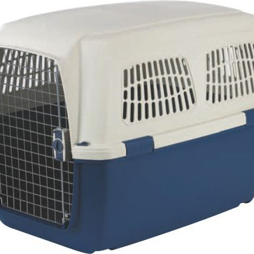 ΜΕΤΑΦΟΡΑΣ CLIPPER 6 CAYMAN