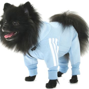 ΜΠΛΟΥΖΑΚΙ ΤΗΕΟ SPORT OVERALL 2XL 40.