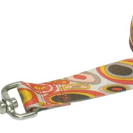 ΟΔΗΓΟΣ ΝΥLON ΠΟΛΥΧΡΩΜΟΣ 10ΜΜ