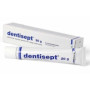 ΟΔΟΝΤΟΚΡΕΜΑ DENTISEPT 20 GR