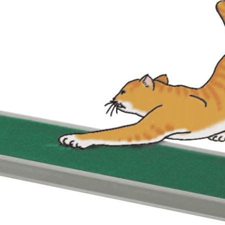 ΟΝΥΧΟΔΡΟΜΙΟ ΓΑΤΑΣ PLAY CAT