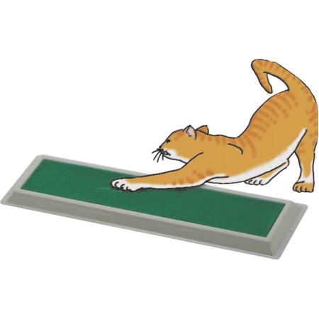 ΟΝΥΧΟΔΡΟΜΙΟ ΓΑΤΑΣ PLAY CAT