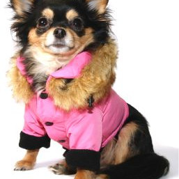 ΠΑΛΤΟΥΔΑΚΙ THEO ESKIMO COAT XL 35 cm