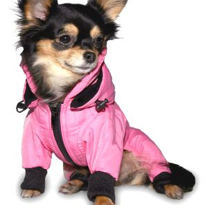 ΠΑΛΤΟΥΔΑΚΙ THEO SNOW OVERALL 2XL 43c