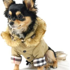 ΠΑΛΤΟΥΔΑΚΙ ΤΗΕΟ ESKIMO COAT 3XL 40cm