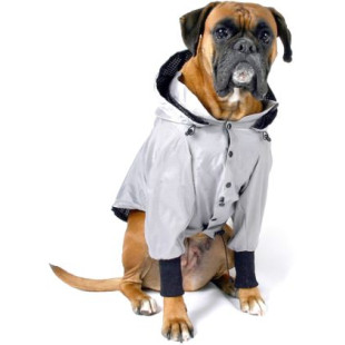 ΠΑΛΤΟΥΔΑΚΙ ΤΗΕΟ WIND JACKET 3XL 40cm