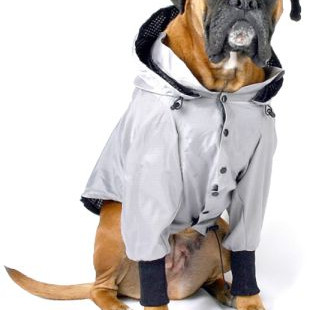 ΠΑΛΤΟΥΔΑΚΙ ΤΗΕΟ WIND JACKET 3XL 40cm