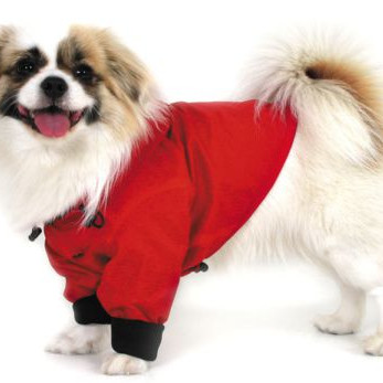 ΠΑΛΤΟΥΔΑΚΙ ΤΗΕΟ WIND JACKET L 30cm