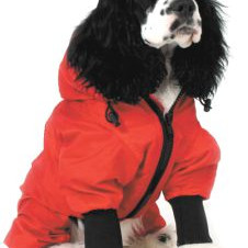 ΠΑΛΤΟΥΔΑΚΙ ΤΗΕΟ WIND OVERALL 2XL 40.