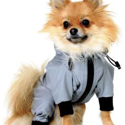 ΠΑΛΤΟΥΔΑΚΙ ΤΗΕΟ WIND OVERALL XS 18cm