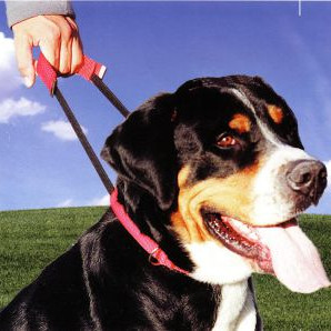 ΠΕΡΙΛΑΙΜΙΟ DOG CONTROL EXTRA LARGE