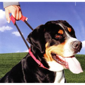 ΠΕΡΙΛΑΙΜΙΟ DOG CONTROL SMALL