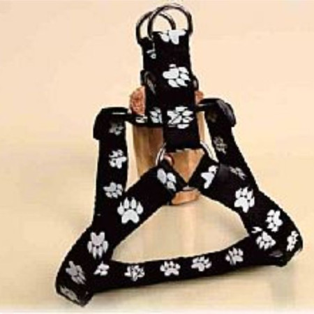 ΣΑΜΑΡΑΚΙ ΡΥΘΜΙΖΟΜΕΝΟ XSMALL SHINING PAWS