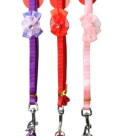 ΣΑΜΑΡΑΚΙ+ΟΔΗΓΟΣ ΜΕ ΦΙΟΓΚΟ ΓΙΑ ΣΚΥΛΟΥΣ 10*12