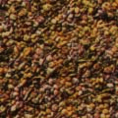 ΣΠΟΡΟΙ ΥΓΕΙΑΣ ΧΥΜΑ