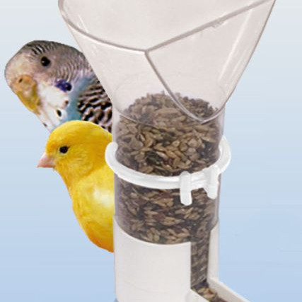 ΤΑΙΣΤΡΑ ΕΞΩΤΕΡΙΚΗ ΧΩΝΙ TORINO