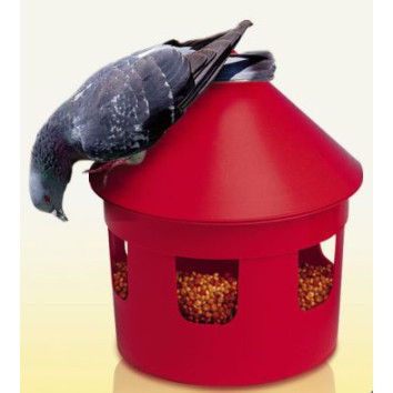 ΤΑΙΣΤΡΑ ΠΕΡΙΣΤΕΡΙΩΝ LOCRI 1