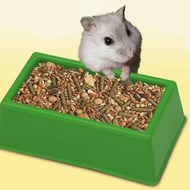 ΤΑΙΣΤΡΑ ΤΕΤΡΑΓΩΝΗ VASTO 1