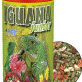 ΤΡΟΦΗ DAJANA IGUANA JUNIOR 500ml