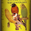 ΦΥΡΑΜΑ ΥΓΕΙΑΣ ΚΑΙ ΤΡΑΓΟΥΔΙΟΥ 80gr