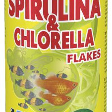 ΨΑΡ/ΦΗ DAJANA SPIR/CHLORELLA 100ml